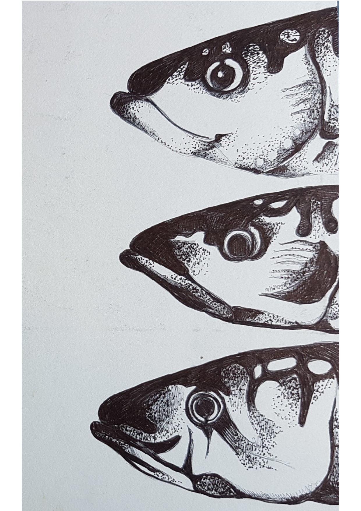 mackerel heads pointillism